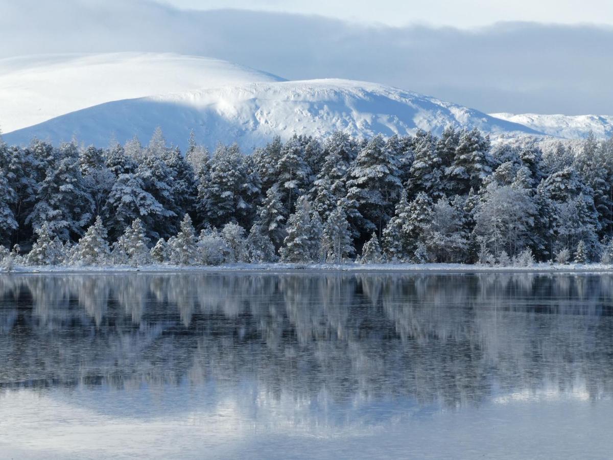 Caman House Apt 2 - By Where Stags Roar Newtonmore Dış mekan fotoğraf